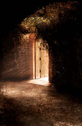 Door into a Garden