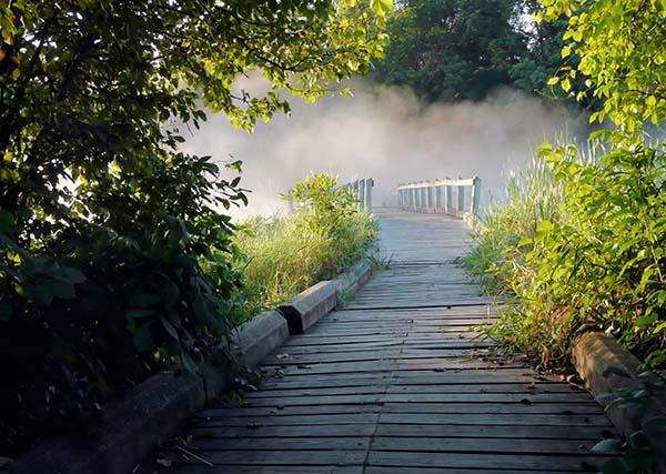 Path to Bridge